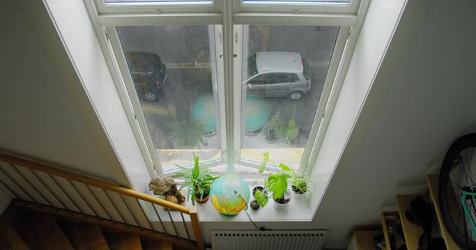 Modern hipster apartment with flowers and indoors plants in pots on window shelf. Moody grey and rainy street during autumn or winter. Car passes by. Comfort and cosiness of home