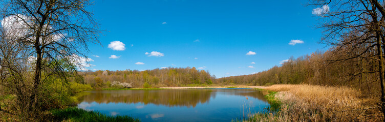 Fototapeta na wymiar Forest shore lake landscape on a sunny day. Panorama of the shore of summer lake in spring. View of the forest lake shore