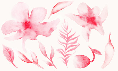 Watercolor floral set of red-pink flowers and leaves. Hand drawn illustration with design elements from parts of plants.