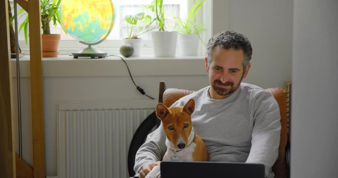 Adorable and cute dog sit in armchair in cosy home together with owner. Handsome man, freelancer or bored man watch movies or videos on social media on laptop with pet basenji puppy