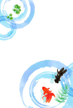 350 件の最適な 琉金 画像 ストック写真 ベクター Adobe Stock