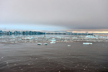 wilczek glacier melting under the impact of global warming. Dramatically goes down of polar cup...