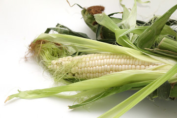 white corn with it's green leaves on white background