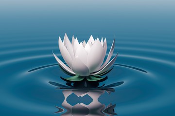 Obraz na płótnie Canvas 3d lots flower on calm ripple water