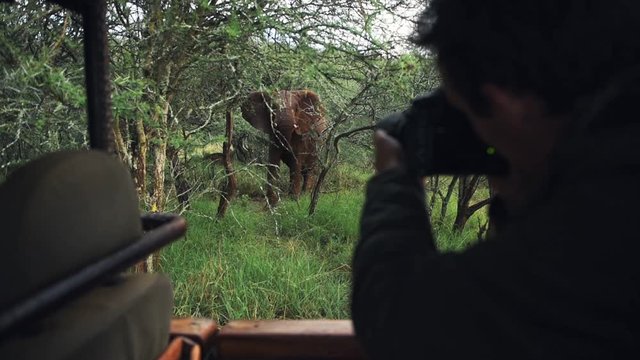 Photographer taking pictures of a territorial wild elephant standing in the bush, Kenya, Africa