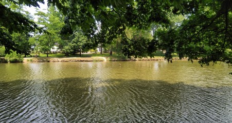 Staw w parku. © Szadam1959