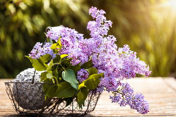 Flieder lila Blumenstrauß 
