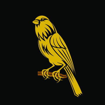 Yellow Canary Bird Vector Illustration