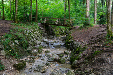 Obraz premium Wildbach in der Klamm