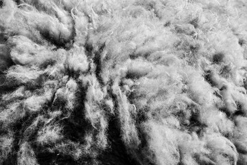 schaf Wolle abstrakt als Hintergrund schwarz-weiss