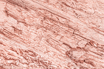 Trendy pastel background in rose gold. Backdrop trendy