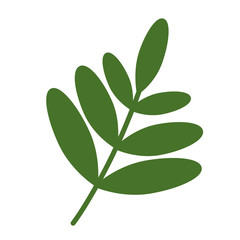 Branch plant. Wild flower. Scandinavian style. Simple vector illustration.