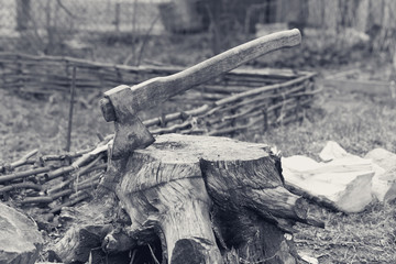 Tree stump with old axe