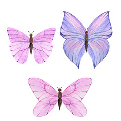 Fototapeta na wymiar Watercolor colorful butterflies, isolated on white background, summer illustration