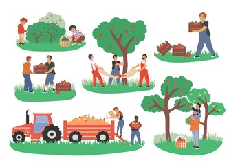 People picking fruits and berries, vector flat isolated illustration