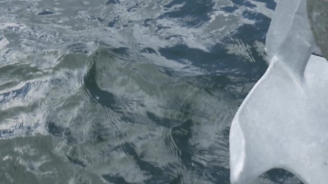 Sailing boat with the anchor water view