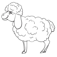 sheep drawn in the outline, coloring, isolated object on a white background, farm, vector illustration,