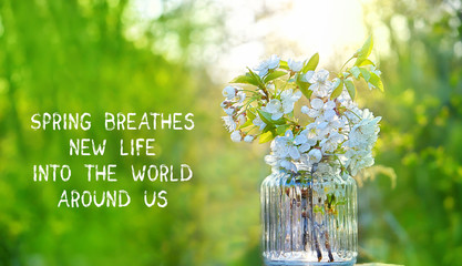Spring breathes new life into the world around us - inspiration quote. cherry flowers in vase....