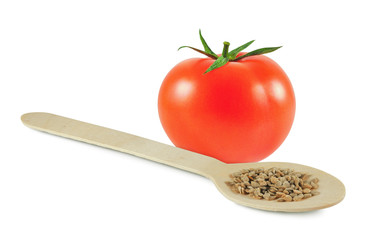 Tomato seeds in wooden spoon and ripe fresh vegetable behind isolated on white background. Organic food growing, gardening.