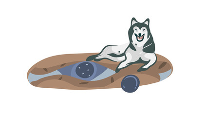Hand drawn vector stock abstract graphic cartoon illustration with lying husky dog on carpet isolated on white background