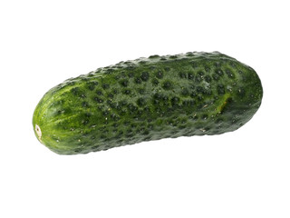 Green cornichon gherkin, isolated on white background