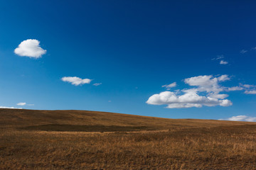 Fototapeta na wymiar Scenic View Of Field Against Sky