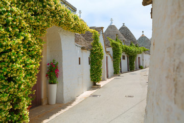 Fototapeta na wymiar trullo houses in Alberobello