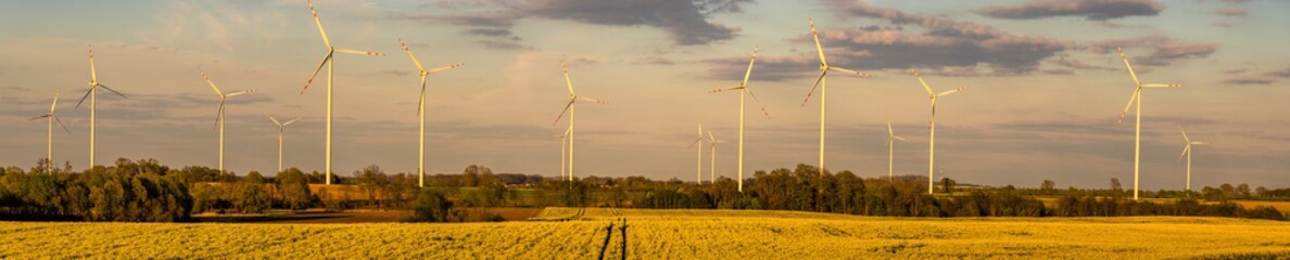 Panorama landscape of a modern ecological village surrounded by fields of flowering rape, green young grain and windmill farms