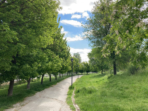 Spring landscape of the park of the city of Madrid Spain.