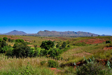 マダガスカル のアンタナナリボからmorondavaまでの道の風景。棚田が美しい。標高1500ｍ前後の中央高地は、どこへいっても棚田があった。
