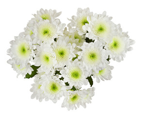 White and green chrysanthemum flowers in a bouquet