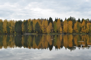 Obraz premium reflection