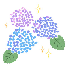 あじさいのイラスト（紫陽花・6月の花）