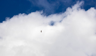 Beautiful blue sky with white clouds. Spring weather
