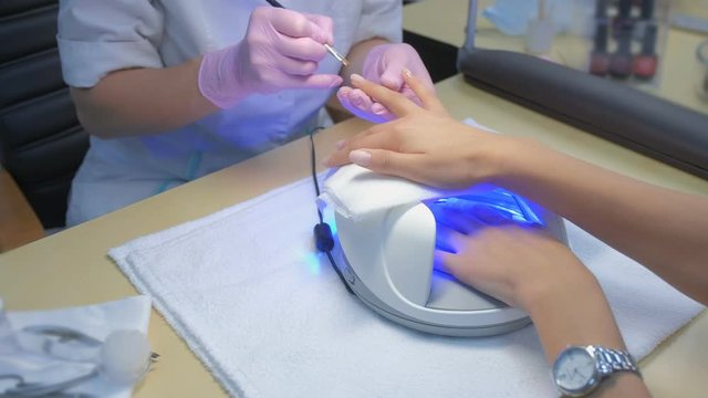 Manicurist master is painting client's nails gel shellac, another hand is drying in UV led lamp in beauty salon, hands closeup. Manicurist in gloves is making manicure. Polymerization process.
