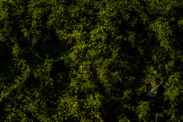 Obraz premium Wedding photography