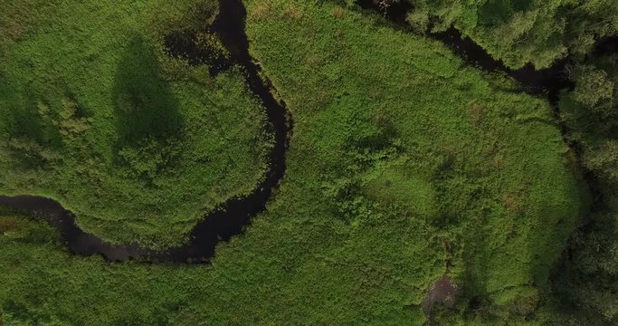 4K aerial bright summer day high quality video footage of lush bright green panoramic woods and pristine forest river in rural countryside in Yaroslavl region of Russia