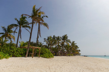 Tropical Beach at Zanzibar Island, Tanzania
