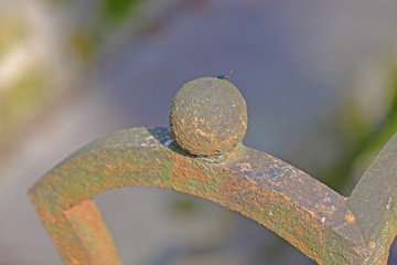 metallic red elements of the old fence