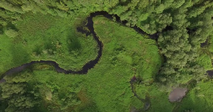 4K aerial bright summer day high quality video footage of lush bright green panoramic woods and pristine forest river in rural countryside in Yaroslavl region of Russia
