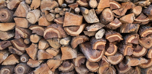 Stacked Cut Timber Firewood Pieces
