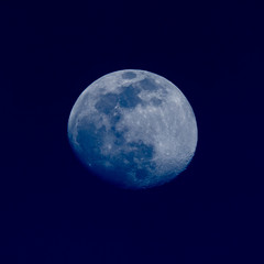 The moon in the blue hour.