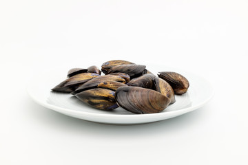 Mussel shells on white background