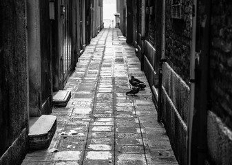Empty venice street (black and white)
