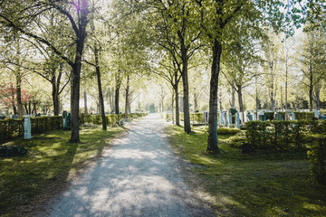 Empty cemetery path on a sunny day