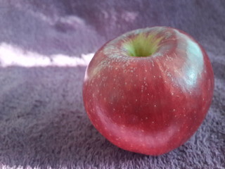 apple on a maroon background