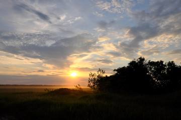 Fototapeta na wymiar Beautiful sunset in the field. Cloudy sky. Landscape.