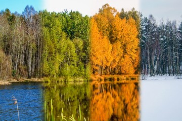 cztery pory roku na jednym zdjęciu, widok na staw w czterech porach roku, wiosna, lato, jesień, zima