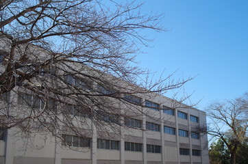 白いビルと青空