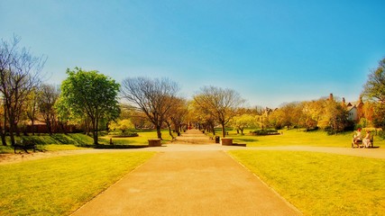 Park in Spring 